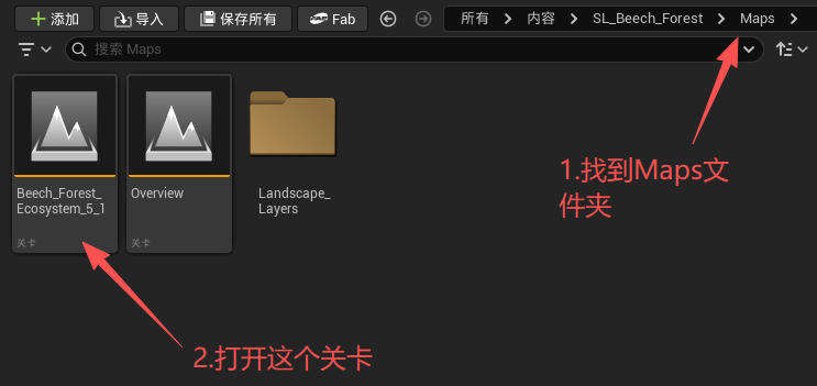 图片[3]_虚幻引擎 Beech Forest Ecosystem 资产_虚幻引擎