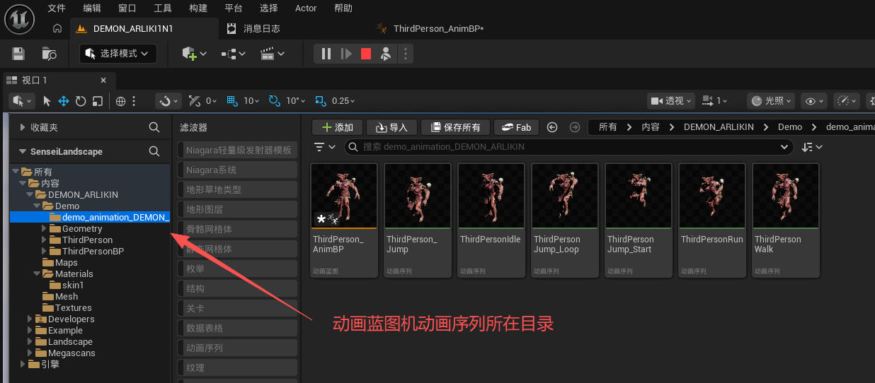 动画蓝图及动画序列所在目录